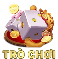 Giải đấu và sự kiện